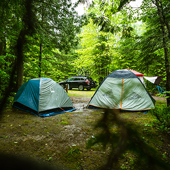 Recently Written Accounts Through WRC Agency: Summer 2021